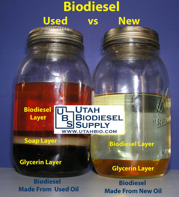Making Biodiesel From Vegetable Oil