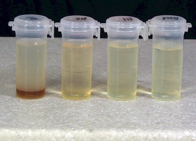 Testing BIodiesel For Conversion